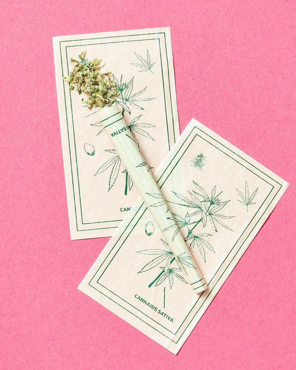 Cannabis buds and a joint atop botanical sketch rolling papers.